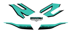 BMW (K63) S1000R replacement decals